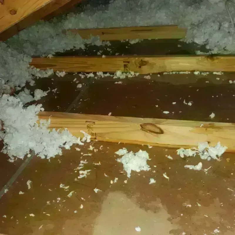 Attic Water Damage in Higganum, CT